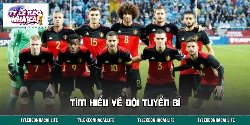 Tổng quan về đội tuyển Bỉ